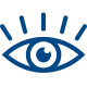 Eye Icon